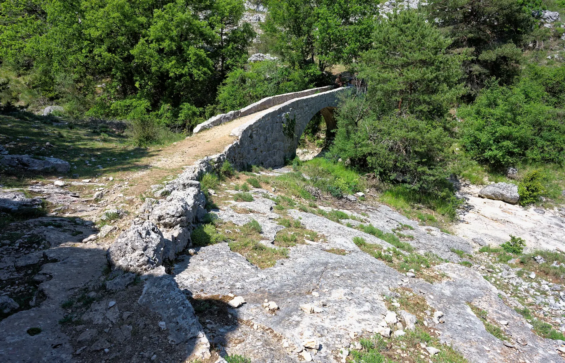 Dsc 9675