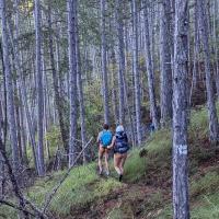 Pxl 20241005 081317022 v1