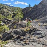 Pxl 20241005 112428808 v1